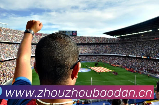 leyu.乐鱼(中国)集团有限公司官网APP 体育赛事宣传图